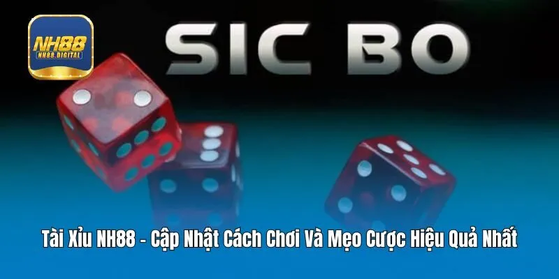 Tài Xỉu NH88 - Cập Nhật Cách Chơi Và Mẹo Cược Hiệu Quả Nhất